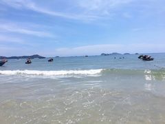 -广东惠东海龟国家级自然保护区