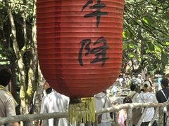 -石台牯牛降景区