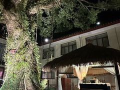 -普陀山雷迪森庄园