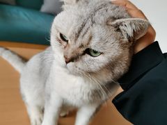 -她说户外烧烤团建(西湖店)