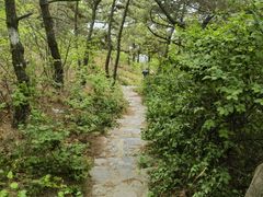 -燕窝岭