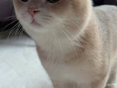 -海底捞火锅(西单店)