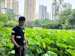 -龙头寺公园