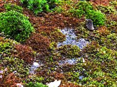 -西南交通大学(峨眉校区)