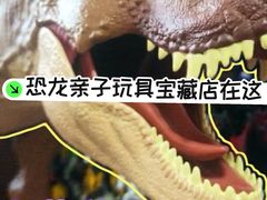 -TOYSRUS玩具反斗城(苏州中心店)