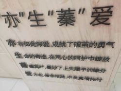-Cocodemer女性健康·产后恢复(天一广场店)