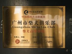 -柴犬高等学院·狗咖·柴犬售卖·宠物训练