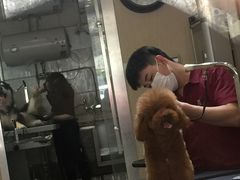 -宠物家(双井店)