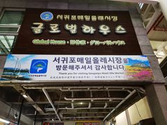 -西归浦每天偶来市场