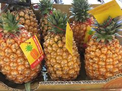 -佳思多食品料理超市(园区店)