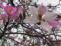 -华南国家植物园-售票处