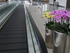 -广州白云国际机场-T2航站楼