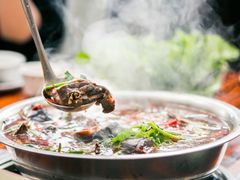 -陈三炖鸡馆(金众小区店)