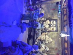 iphone_upload_pic-刘老根大舞台-长春旗舰店