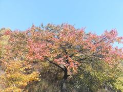 -白草畔自然风景区