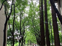 -苏州大学(天赐庄校区)