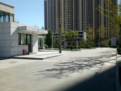 -世东国际