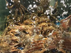 板蟹-蟹之国·精品蟹料理(极地店)