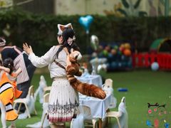 -常德书法幼儿园