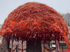 -郑州方特梦幻王国