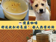 -慢象咖啡(台江店)