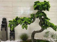 -兴芮温泉度假区