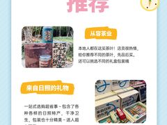 -日照海滨国家森林公园