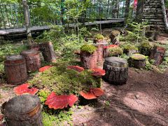 -峡谷浮石林景区