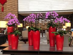 -天津海河悦榕庄·Lobby Lounge大堂吧