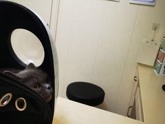 -瑞派康怡24h宠物医院·犬猫医疗中心·微创绝育(瑞景分院)
