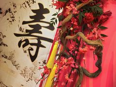 -Timo队长·高端生日派对策划机构(静安寺店)