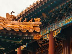 -颐和园