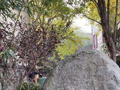 -芭东小镇温泉