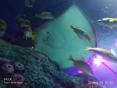 -沈阳海洋探索中心