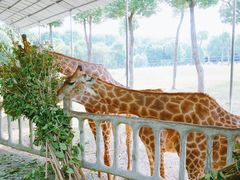 -常州淹城野生动物世界