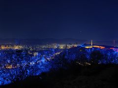 -红光山