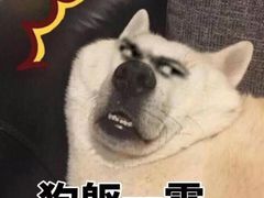 -霄汉羊排(万松园一店)