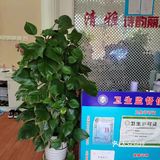 产后修复体验