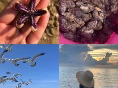 -日照灯塔风景区