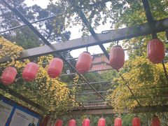 -房湖公园