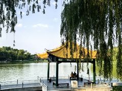 -清真伊源饺子馆(陶然共友大厦店)