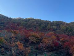 -龙道沟景区