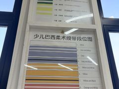 -勇气斑马·巴西柔术&跆拳道(浦东三林店)