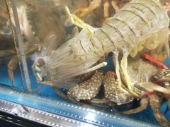 -盒马鲜生(皇庭广场店)