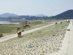 -十三陵水库