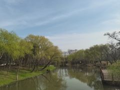 -自然谷恐龙园