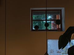 -长颈鹿咖啡(大学路店)