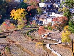 -塔川景区