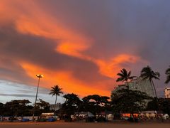 -Green Tree Rest. & Pub