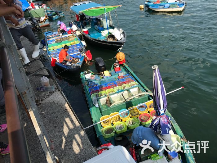 西贡海滨公园图片 - 第1张